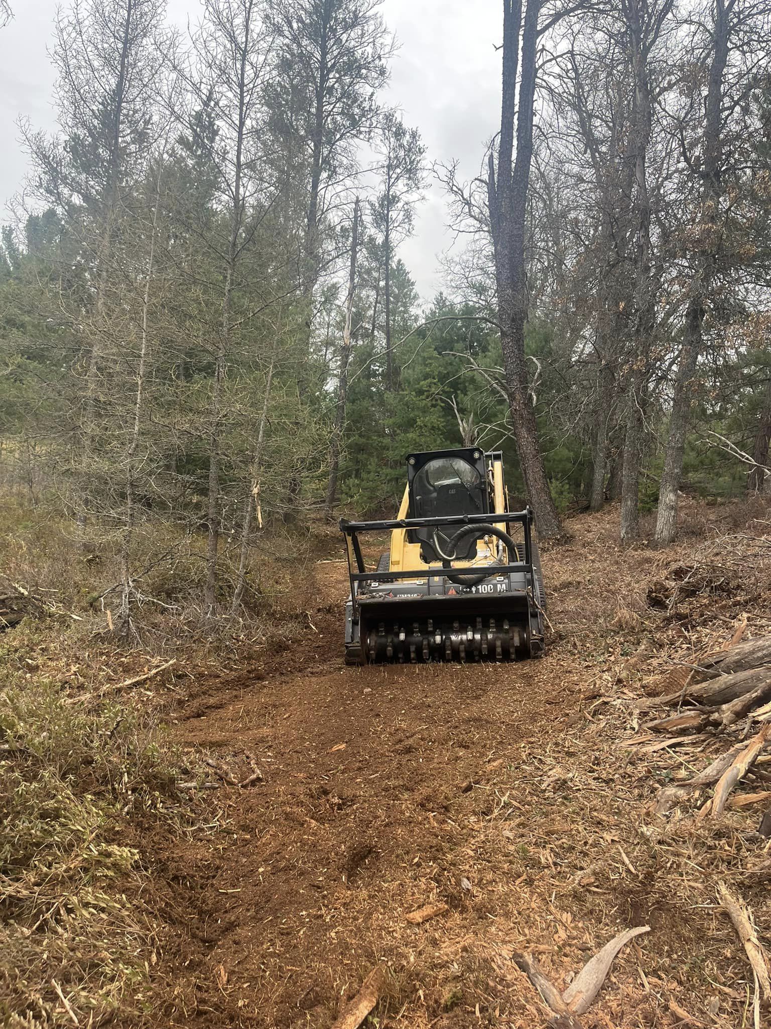 profesional forestry mulching & land clearing Midland MI being done