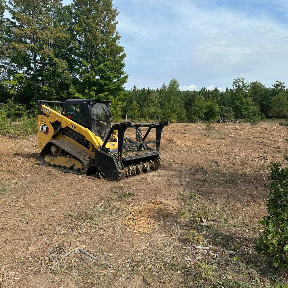 professional forestry mulching & land clearing saginaw mi